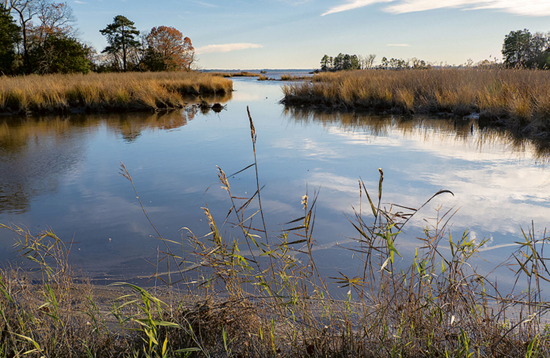 View of Choptank River, MD